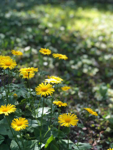 Jaro; foto: Anna Marie Málková
